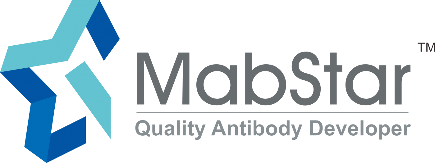 康拓抗体 | MabStar Antibody